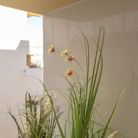 Precioso Estudio En El Centro De 아파트