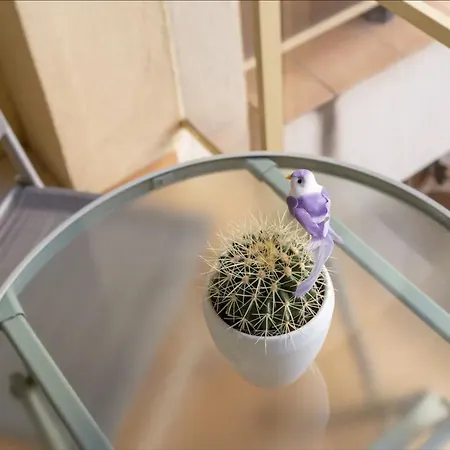 아파트 Precioso Estudio En El Centro De