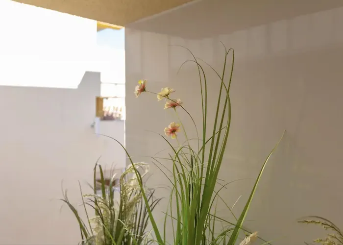 Casa Livia - Centro Appartement