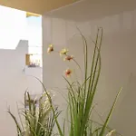 Casa Livia - Centro Apartman